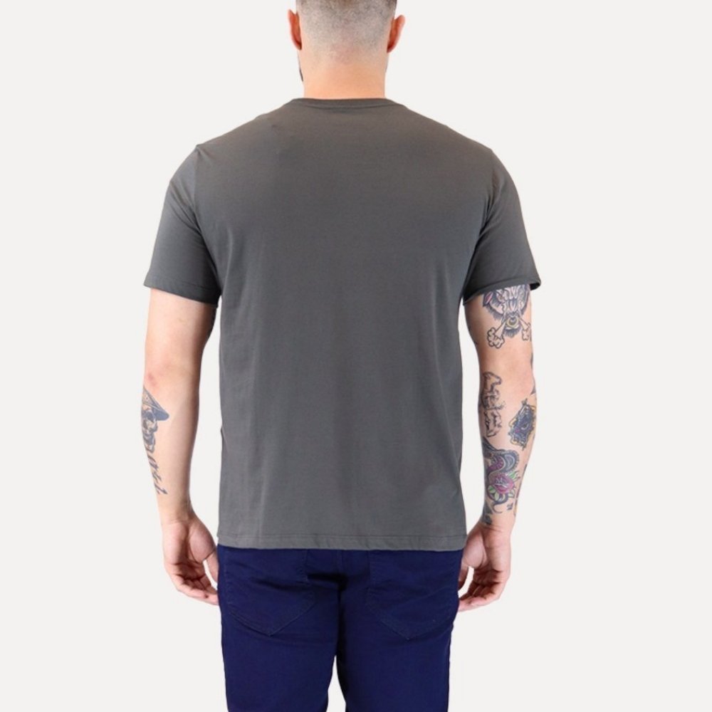 camiseta calvin klein address ny chumbo 3