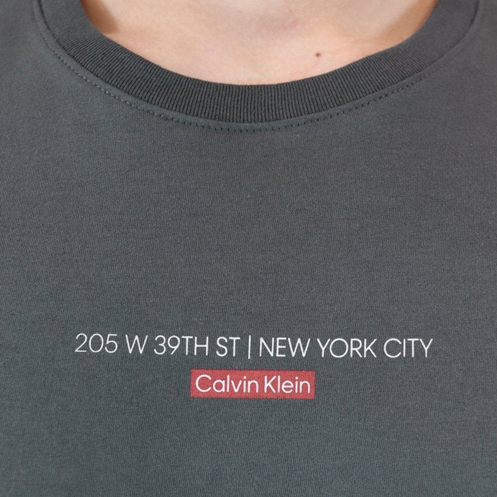 camiseta calvin klein address ny chumbo 1